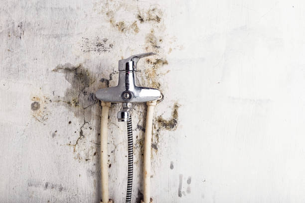 Office Mold Removal Services in Sunriver, OR