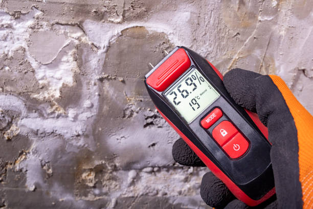 Best Mold Removal Process  in Sunriver, OR