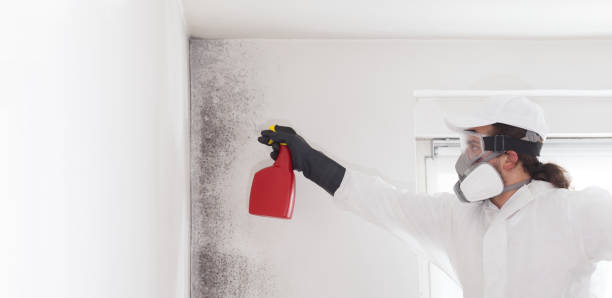 Mold Removal Process in Sunriver, OR